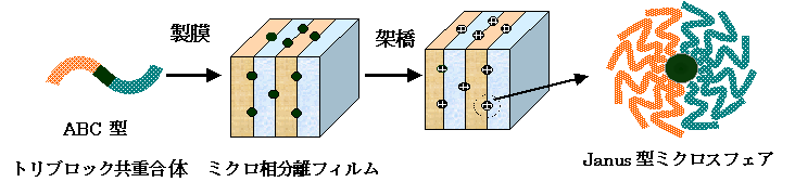 Janus microsphere